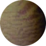 Stretch Marks